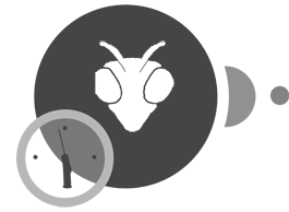 Optimer din virksomheds processer ved at integrere MantisBT med Make.com for en effektiv og automatiseret workflow.