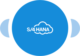 SAP S/4HANA Connect to X
